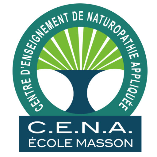 C.E.N.A. école Masson